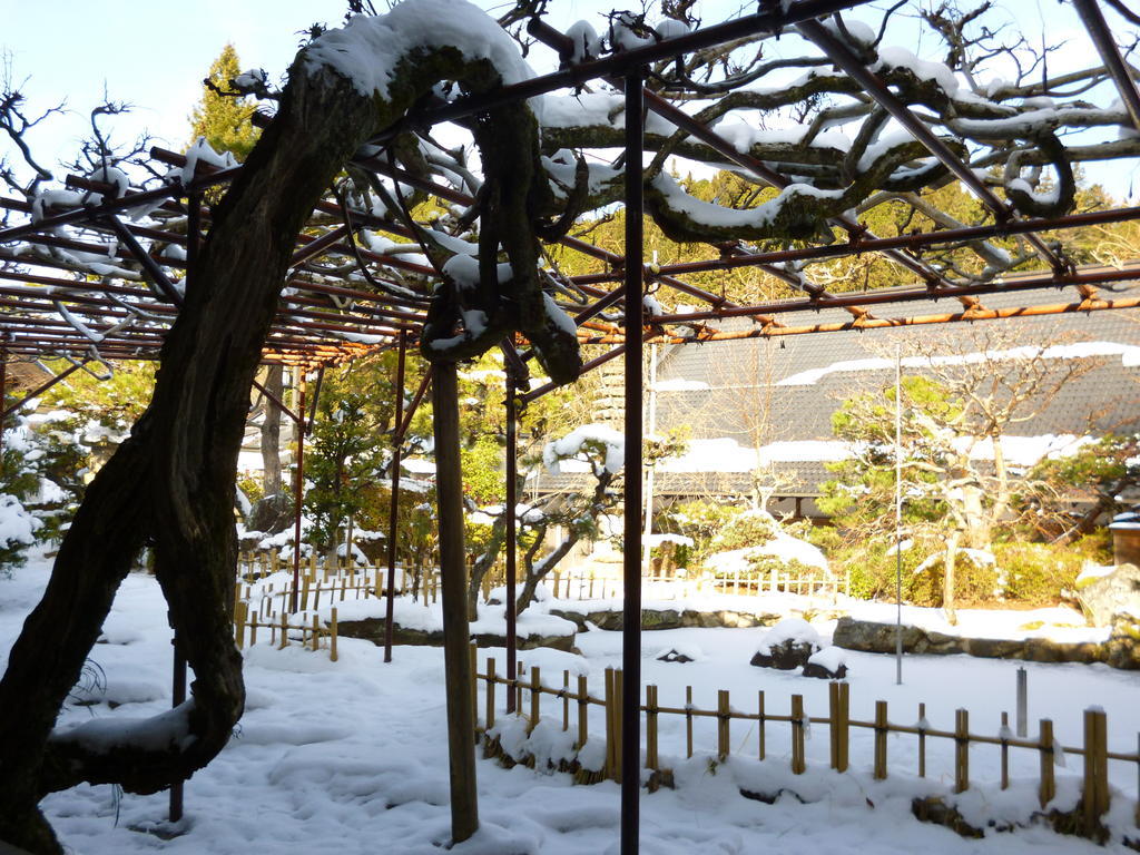 高野山 宿坊 熊谷寺 -Koyasan Shukubo Kumagaiji- Wakayama Esterno foto